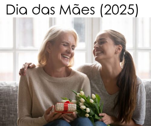 Presente no Dia das Mães-Air Fryers